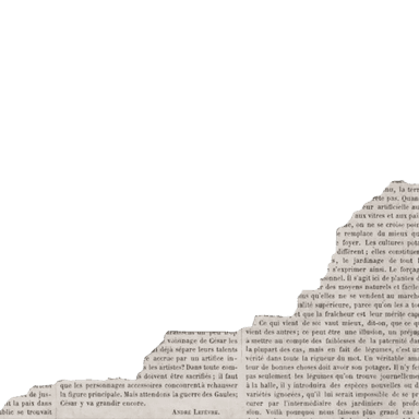 newspaper cutting 2